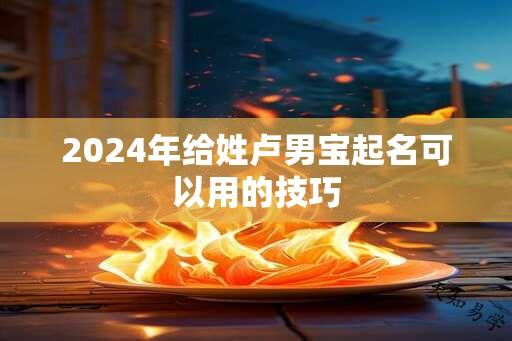 2024年给姓卢男宝起名可以用的技巧