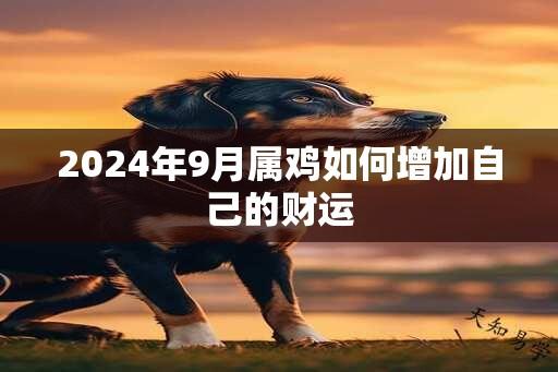 2024年9月属鸡如何增加自己的财运