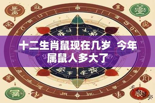 十二生肖鼠现在几岁  今年属鼠人多大了