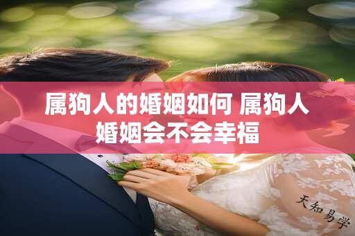 属狗人的婚姻如何 属狗人婚姻会不会幸福