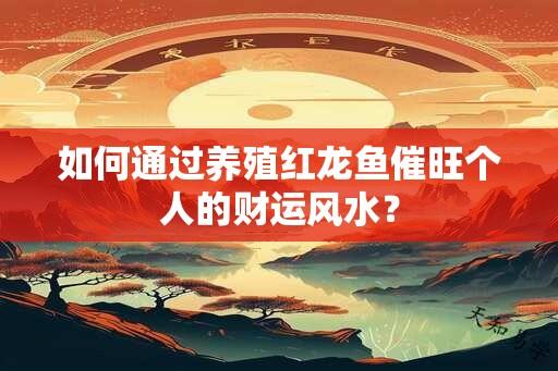 如何通过养殖红龙鱼催旺个人的财运风水？