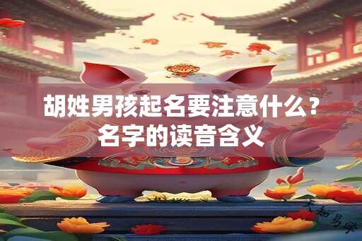 胡姓男孩起名要注意什么？名字的读音含义