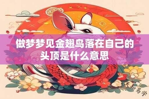 做梦梦见金翅鸟落在自己的头顶是什么意思