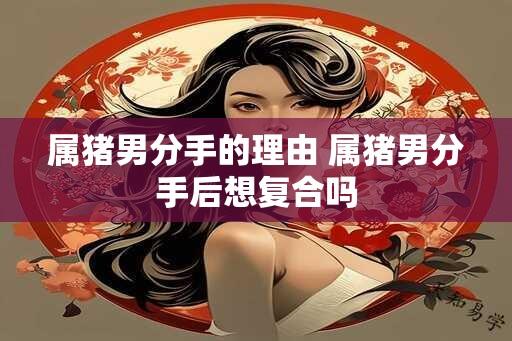 属猪男分手的理由 属猪男分手后想复合吗