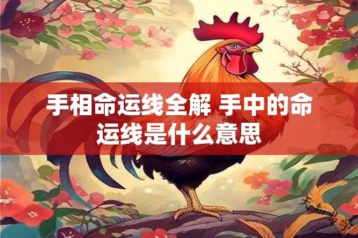 手相命运线全解 手中的命运线是什么意思