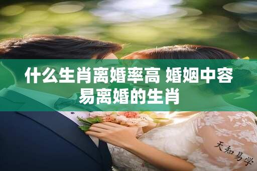 什么生肖离婚率高 婚姻中容易离婚的生肖