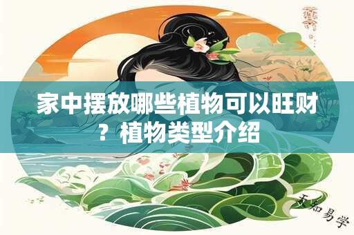 家中摆放哪些植物可以旺财？植物类型介绍