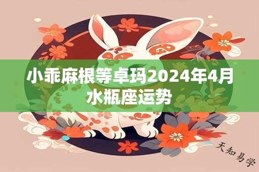 小乖麻根等卓玛2024年4月水瓶座运势