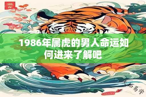 1986年属虎的男人命运如何进来了解吧