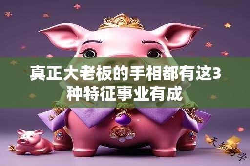 真正大老板的手相都有这3种特征事业有成