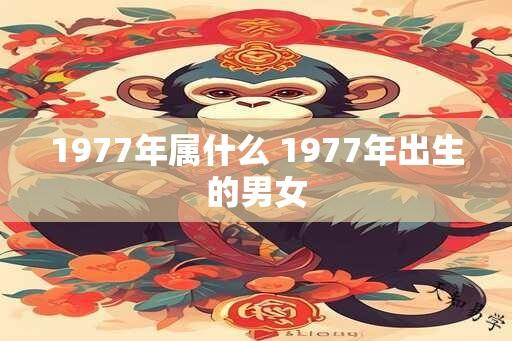 1977年属什么 1977年出生的男女