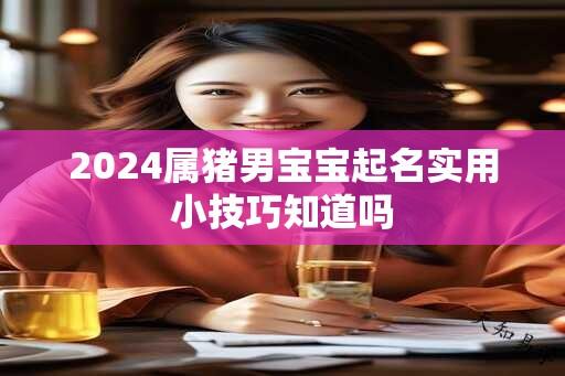 2024属猪男宝宝起名实用小技巧知道吗