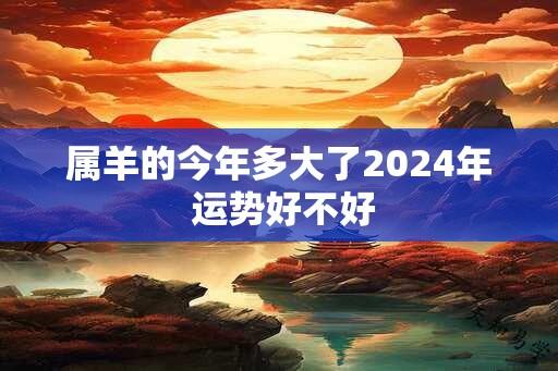 属羊的今年多大了2024年 运势好不好