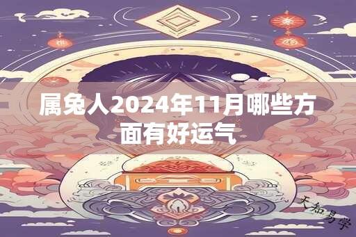 属兔人2024年11月哪些方面有好运气