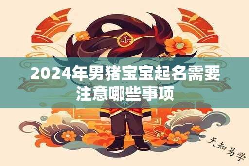 2024年男猪宝宝起名需要注意哪些事项