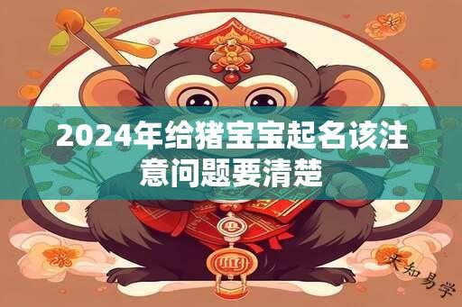 2024年给猪宝宝起名该注意问题要清楚