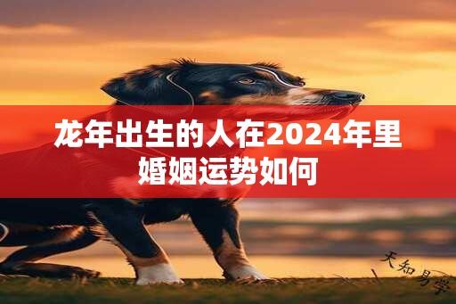 龙年出生的人在2024年里婚姻运势如何