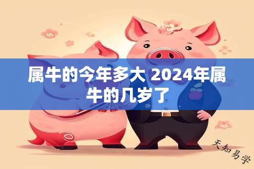 属牛的今年多大 2024年属牛的几岁了