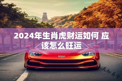 2024年生肖虎财运如何 应该怎么旺运