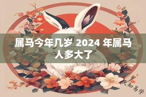 属马今年几岁 2024 年属马人多大了