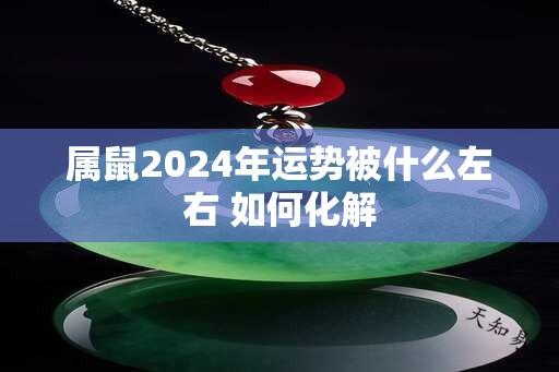 属鼠2024年运势被什么左右 如何化解