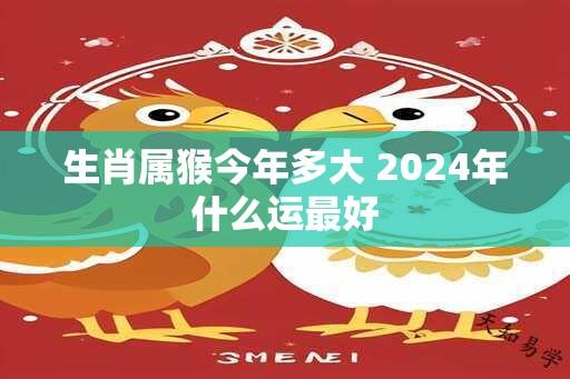 生肖属猴今年多大 2024年什么运最好