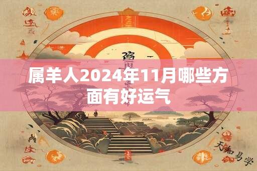 属羊人2024年11月哪些方面有好运气