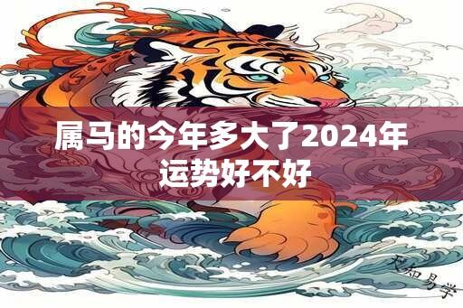 属马的今年多大了2024年 运势好不好