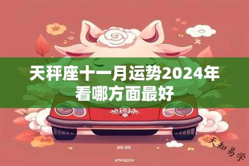 天秤座十一月运势2024年看哪方面最好