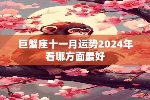 巨蟹座十一月运势2024年看哪方面最好