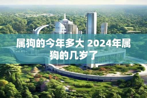 属狗的今年多大 2024年属狗的几岁了