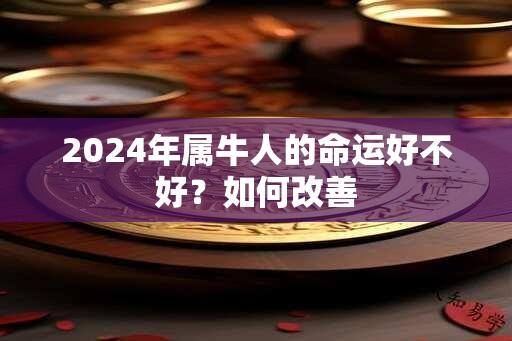 2024年属牛人的命运好不好？如何改善