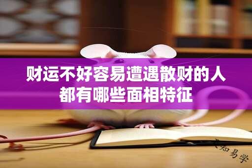 财运不好容易遭遇散财的人都有哪些面相特征