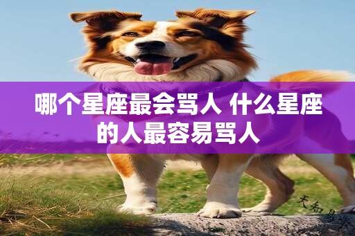 哪个星座最会骂人 什么星座的人最容易骂人