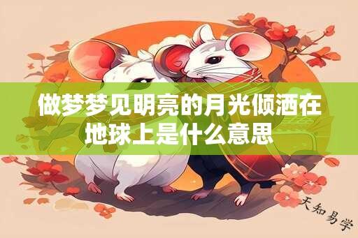 做梦梦见明亮的月光倾洒在地球上是什么意思