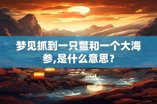 梦见抓到一只鳖和一个大海参,是什么意思？