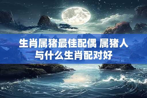 生肖属猪最佳配偶 属猪人与什么生肖配对好