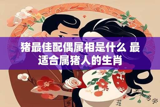 猪最佳配偶属相是什么 最适合属猪人的生肖