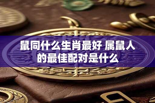 鼠同什么生肖最好 属鼠人的最佳配对是什么