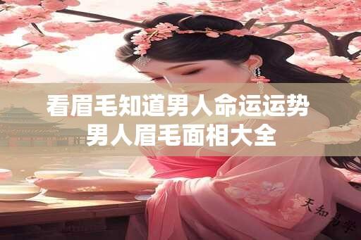 看眉毛知道男人命运运势 男人眉毛面相大全