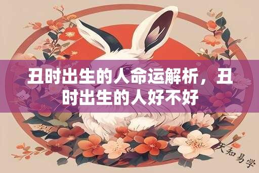 丑时出生的人命运解析，丑时出生的人好不好