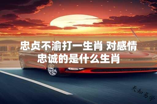 忠贞不渝打一生肖 对感情忠诚的是什么生肖