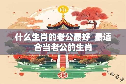 什么生肖的老公最好  最适合当老公的生肖