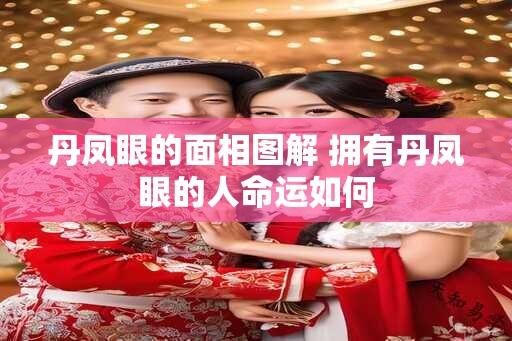 丹凤眼的面相图解 拥有丹凤眼的人命运如何