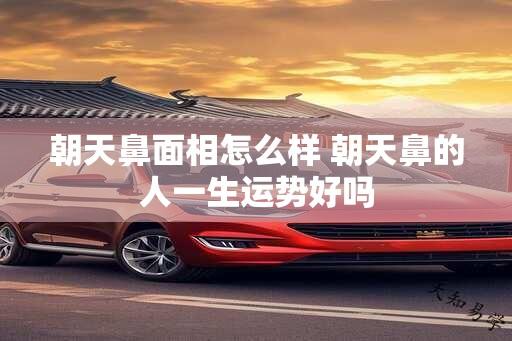 朝天鼻面相怎么样 朝天鼻的人一生运势好吗