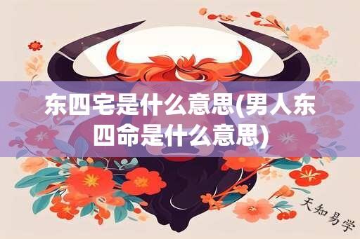 东四宅是什么意思(男人东四命是什么意思)