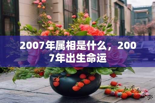 2007年属相是什么，2007年出生命运