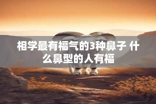 相学最有福气的3种鼻子 什么鼻型的人有福