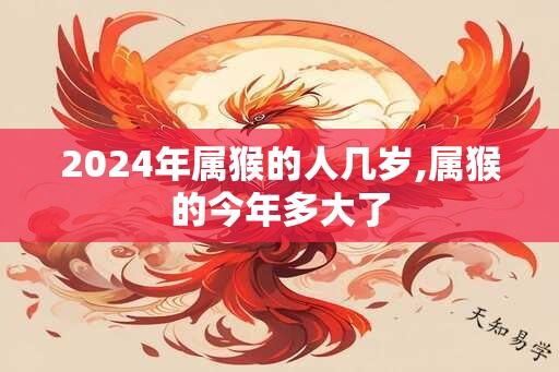 2024年属猴的人几岁,属猴的今年多大了