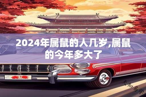 2024年属鼠的人几岁,属鼠的今年多大了